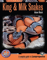 King & Milk Snakes - Adam Black